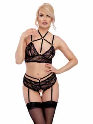 Bra plus Suspender Briefs