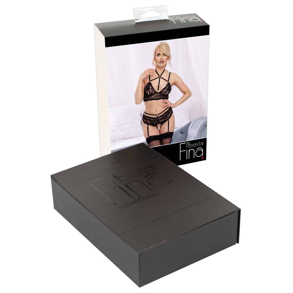 Bra plus Suspender Briefs Bra plus Suspender Briefs