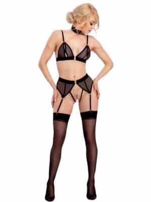 Bra and Suspender Briefs